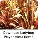 buynow