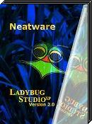 Ladybug Studio